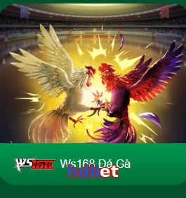hdbet